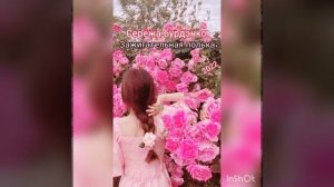 цыганская полька 2022