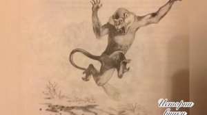 Л.Н.Толстой. Обезьяна и горох