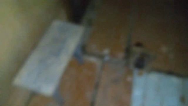 Рост и развитие млекопитающих. День шестьдесят третий. смотреть онлайн