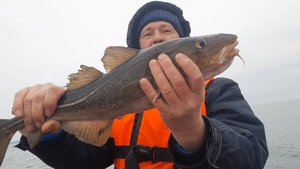 Весенняя морская рыбалка. МНОГО ТРЕСКИ)