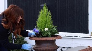 Blue & White Spring Containers! 💙🤍💙// Garden Answer