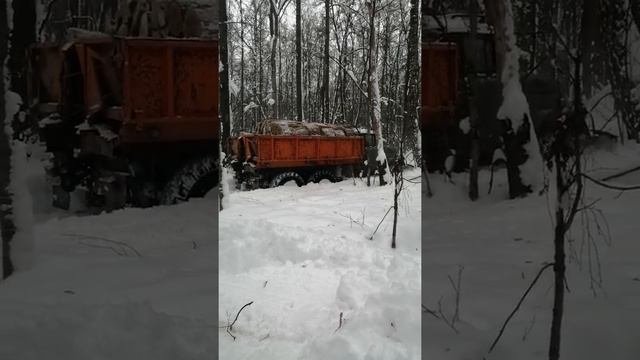 зил 131 по снегу