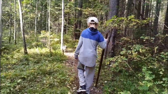 Лесная прогулка 🌲 Дышим воздухом, гуляем, отдыхаем ☺️ Хотя никто никуда не собирался 😆