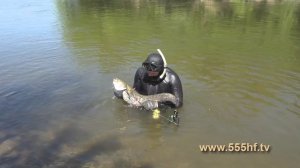 Начало сезона подводной охоты.