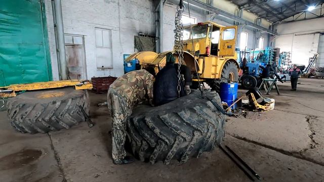 Вот и новую резину к весне подвезли! Разбирайте каждый свое, только не перепутайте! смотреть онлайн