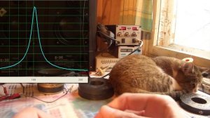 Добротность головного мозгъа