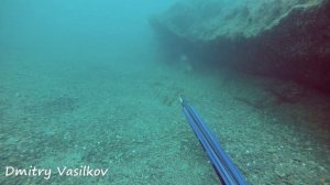 Подводная охота в Архипо Осиповке