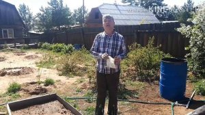 Лук севок "Стурон" и меры профилактики от луковой мухи