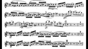 Mozart Violin Concerto 3 Allegro (First Movement)