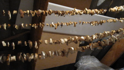 Как сушить грибы дома.Сушка белых грибов.Сушка грибов в домашних условиях