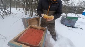 КАК ОПРЕДЕЛИТЬ ЧТО У ПЧЁЛ ВЕСНОЙ ЗАКОНЧИЛИСЬ КОРМА | ЗИМОВКА ПЧЁЛ НА УЛИЦЕ. пасека