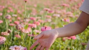 Значение цифр на часах 04:04