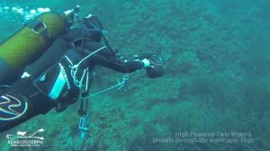 Sublue White Shark Navbow & Navbow Plus