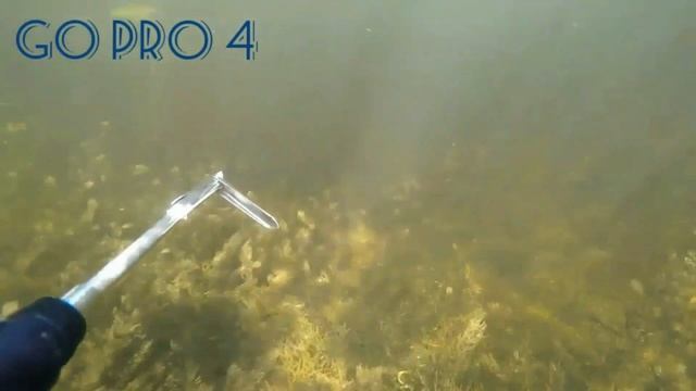 Сравнение камер GoPro HERO 4 и SJCAM SJ4000 для снорклинга и подводной охоты - не реклама!