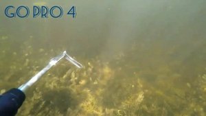 Сравнение камер GoPro HERO 4 и SJCAM SJ4000 для снорклинга и подводной охоты - не реклама!