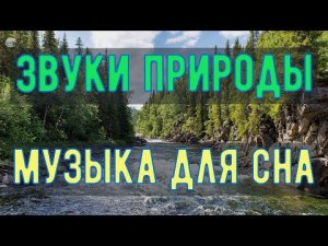 Успокаивающая Музыка для Сна ? Звук Ручья и Пение Птиц ? Звуки Леса ? Фортепиано ? Релакс 2 часа.mp4