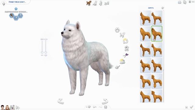 The Sims 4 Кошки и собаки: #1 "Самые милые питомцы!" смотреть онлайн