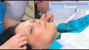 Техника окрашивания бровей краской | Оформление бровей