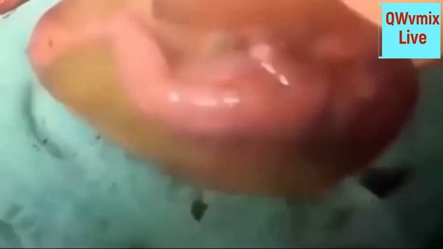 как это родится в рубашке смотреть онлайн