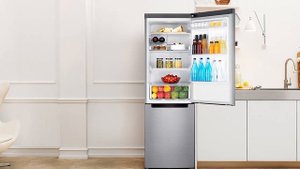Холодильник Samsung RB33A3240WW/WT (RB33A3240EL/WT, RB33A3240SA/WT)