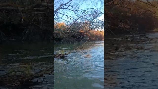 Сплав на сапбордах 15 октября 2023 год. Ставрополь. Сапборд Supboard смотреть онлайн