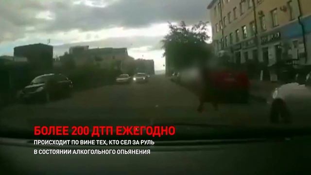 Соблюдай правила дорожного движения! Не пей за рулем! смотреть онлайн