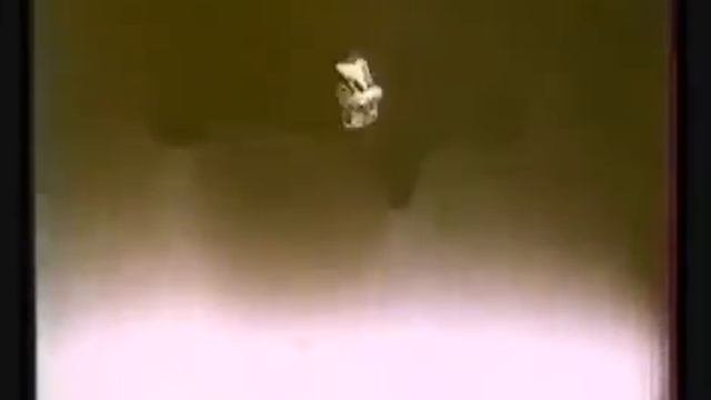 Карачаевцы.