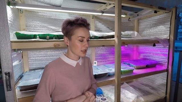 РАССАДА ДЛЯ ПРОДАЖИ.КРЕПКАЯ РАССАДА.ВЫРАСТИМ ВМЕСТЕ.2022