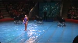 Цирк морские львы