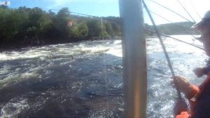 ЛУЧШАЯ РЫБАЛКА НА УМБЕ РЕЧКЕ ,ЛОВИМ ГОРБУШУ 2019