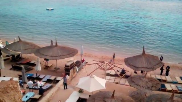 Шарм Эль Шейх. Арабы будут приставать. Кораллы в руки не берите.