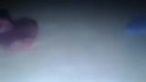 Пластичная эволюция 1 часть