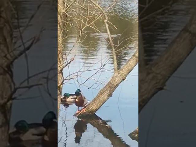 28 апреля 2023 г. смотреть онлайн