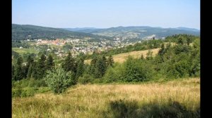 Как человек влияет на экосистему?