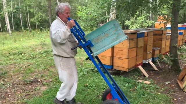 Быстрое и легкое удаление пчёл с дадановских корпусов перед откачкой меда смотреть онлайн
