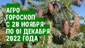 Агрогороскоп с 28 ноября по 01 декабря 2022 года