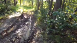 Луаз 967 (Лёгкая грязь в лесу)