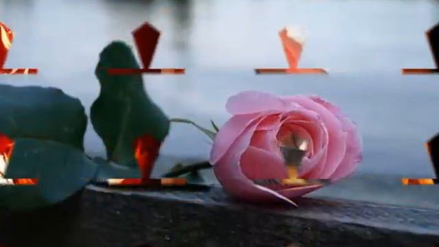 Ян Френкель "Для тебя" смотреть онлайн