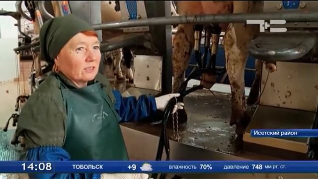 ЛУЧШАЯ ДОЯРКА РОССИИ смотреть онлайн