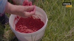 Кто лучший рыбак с удочкой? Выяснили в Усть-Лабинске.