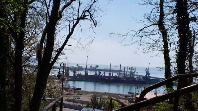 Кого кусают комары? Или что такое плазменная рубашка? смотреть онлайн