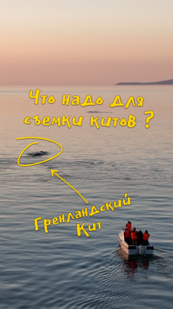 Как снимают китов ?  - #Горбатые и #Гренландские #Киты ! #Шантары #Whale #Путешествия #Острова #Море