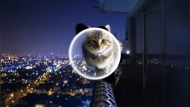 МияГи и Энди Панда - Моя Дикая Кассандра, Игривая Падра смотреть онлайн