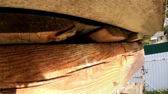 Какая польза от воробья смотреть онлайн