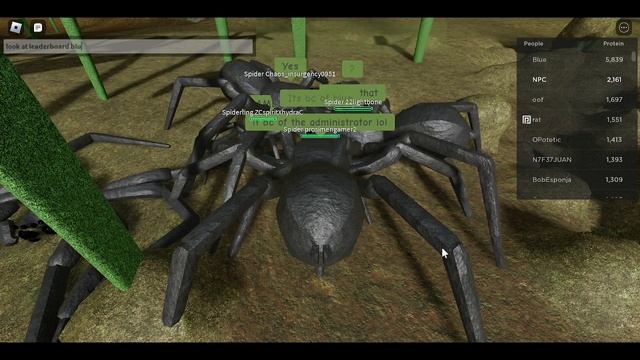 Admin gave the whole server 300+ protein in ant life ? смотреть онлайн