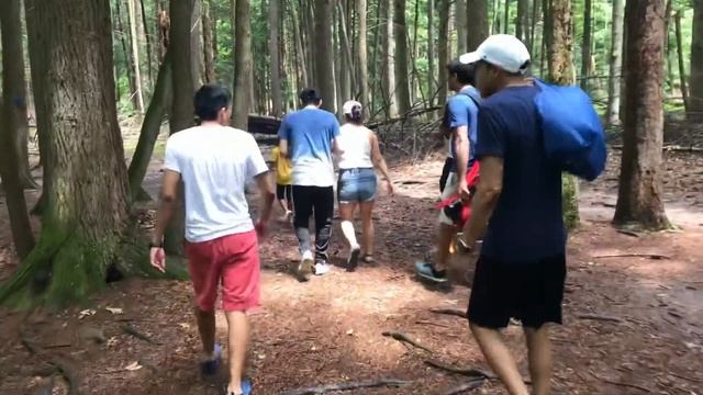 Bushkill falls- niagara of pennsylvania !! pocono mountains !! scenic attractions смотреть онлайн