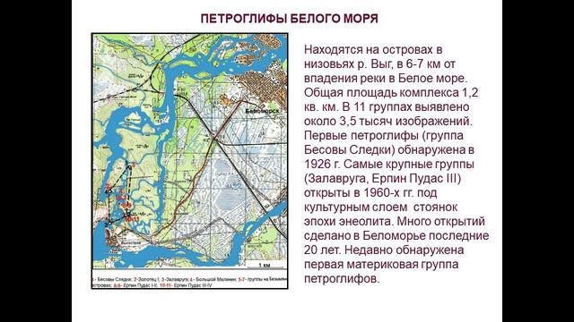 ПЕТРОГЛИФЫ КАРЕЛИИ: ЧТО УЧЕНЫЕ УЗНАЛИ О ЖИВОТНОМ МИРЕ