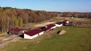 Один уютный день на ферме. Как провести выходные всей семьёй?