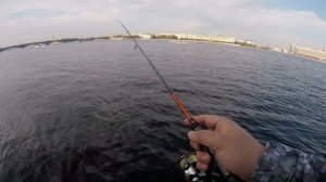 Обзор Maximus Gravity Microjig. Спиннинг для микроджига.