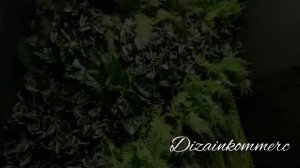 Стена из искусственных растений